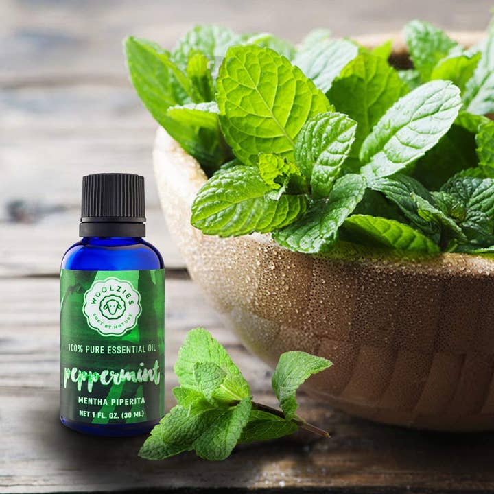 Woolzies - Wholesale Essential Oil - Peppermint Essential oil5