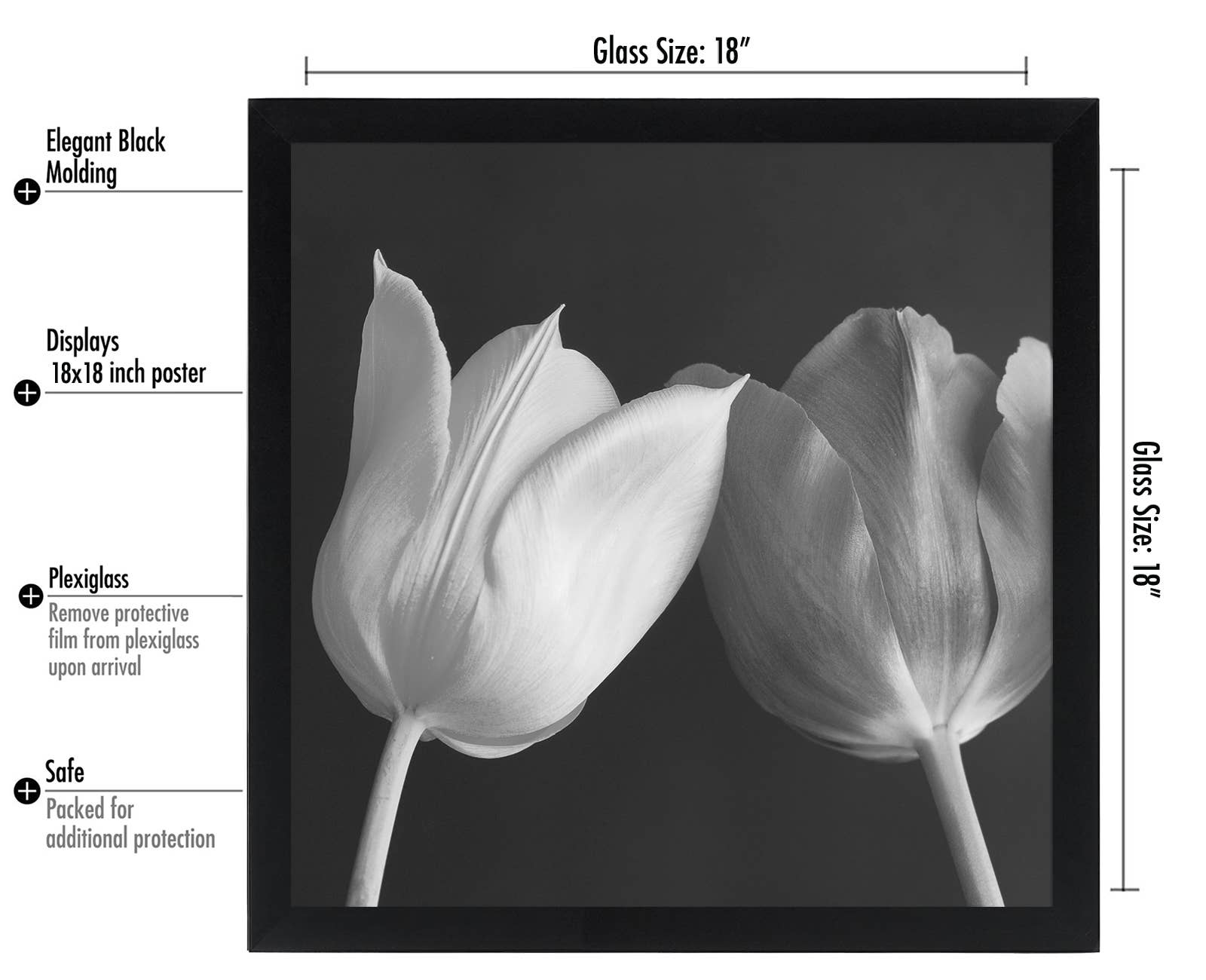 Americanflat - Wholesale Picture Frame - Americanflat Poster Frame with Wide Molding141