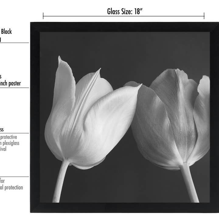 Americanflat - Wholesale Picture Frame - Americanflat Poster Frame with Wide Molding141