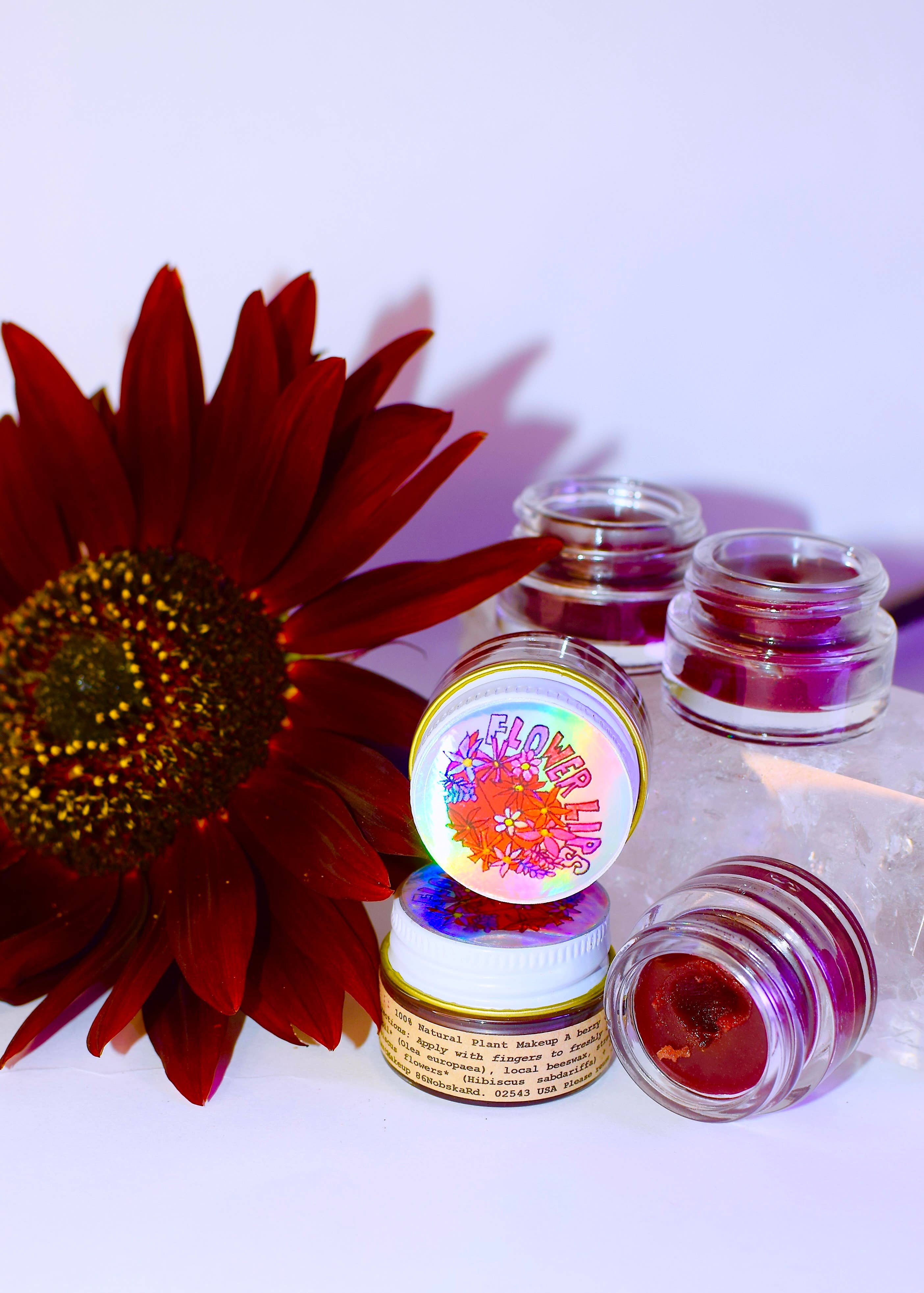 Plant Makeup – Tinta labial por atacado – Flor Lábios Tint4