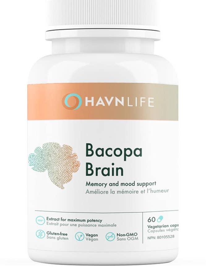 Bacopa Brain for wholesale by Havn Life