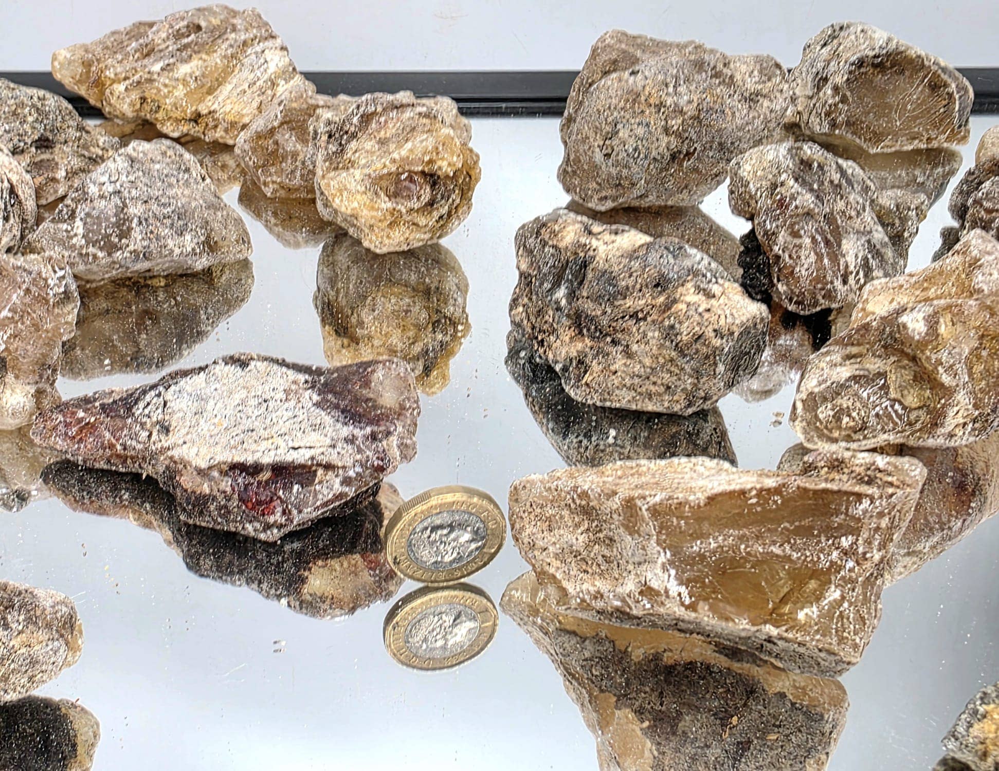 Distinction Crystals - Wholesale Spiritual Stone/Crystal - African Sub Fossil Copal3