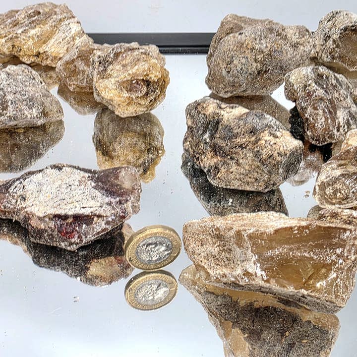 Distinction Crystals – wholesale Spiritual stone/crystal – African Sub Fossil Copal3