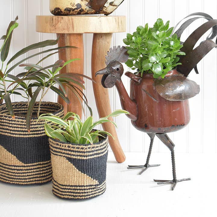 Swahili | AFRICAN MODERN - Wholesale Plant Pot - Large Zimbabwean Recycled Teapot Rooster Planter
