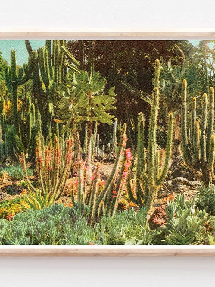 Poster imprimé en risographie Huntington Cacti II pour la vente par Back of Beyond Press