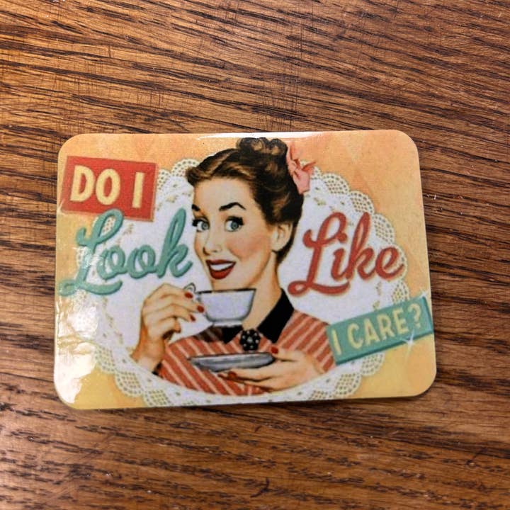 DejaVu and New - Wholesale Magnet - "Do I look like I care? Magnet