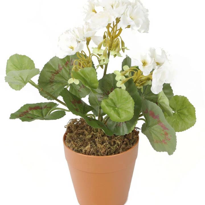 Closer2Nature - Wholesale Kunstplant - Kunstmatige witte zonale geraniumplugplant van 24 cm