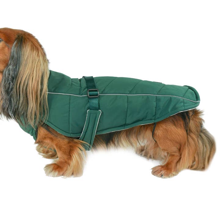 Abrigo de invierno para perros Whistler - Lafayette Green para venta al por mayor de DJANGO
