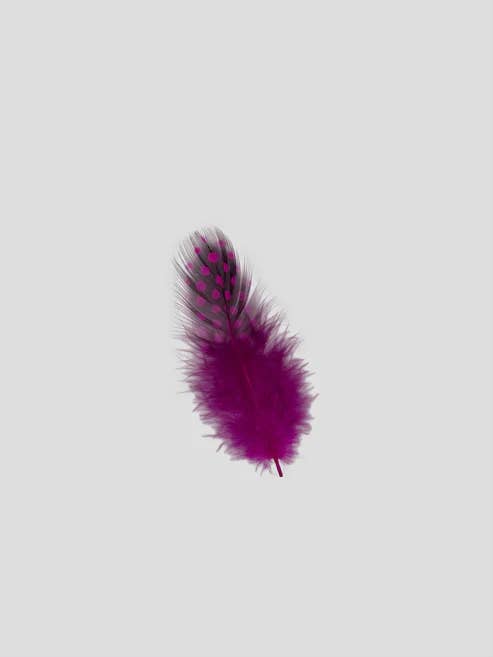 Guinea fowl 5-10 cm Fuchsia for wholesale by Enkels Feathers
