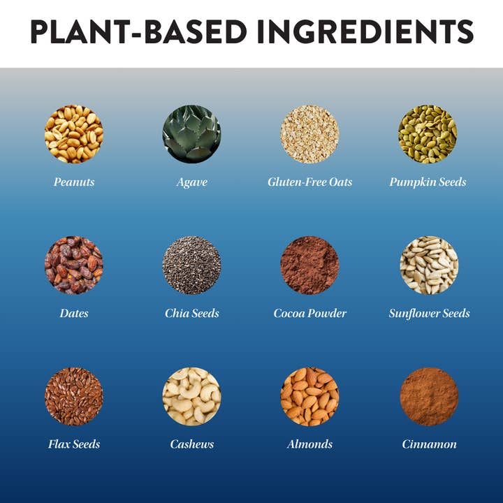 Protein Puck - Wholesale Snack Bar - Mighty Moxie (Cocoa, Cashew, Cinnamon) (16 - 2.25oz Bars)2