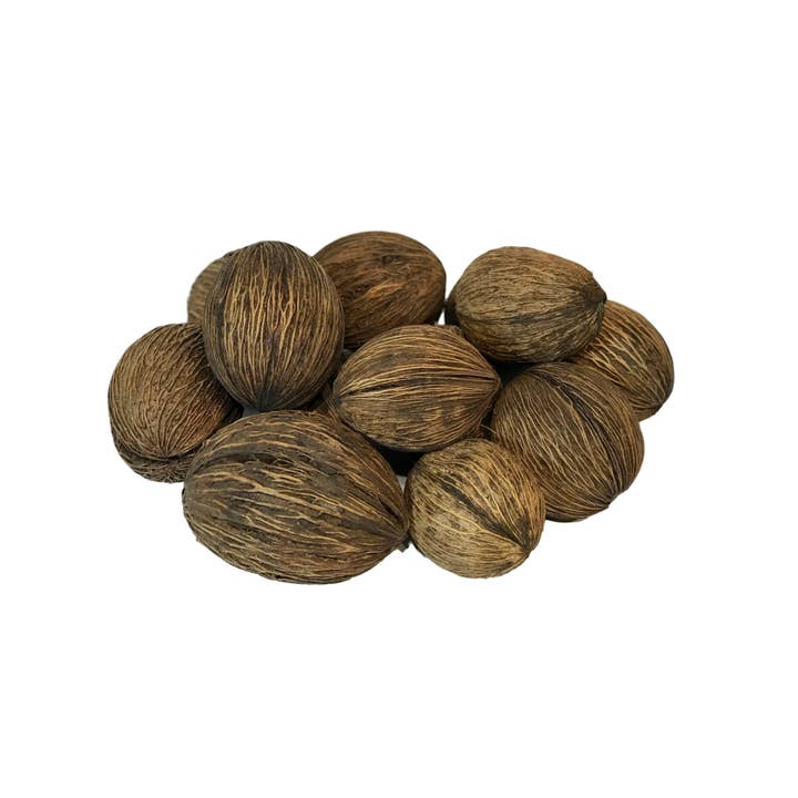 Wilco Home – Großhandel Tischdeko – 14-teiliges natürliches Mintola Ball Seed Pod Napffüllset