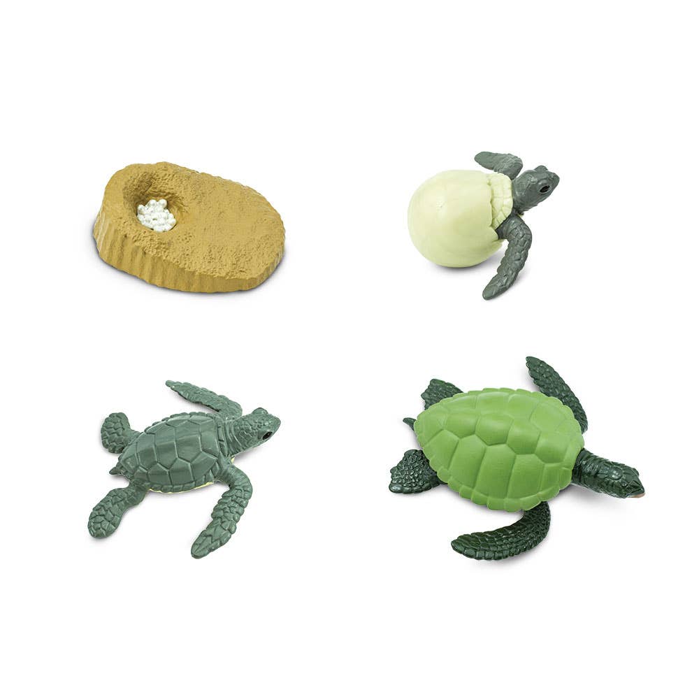 Safari Ltd. - Wholesale Figurine Toy - Kids - Life Cycle Of A Green Sea Turtle - 6623161