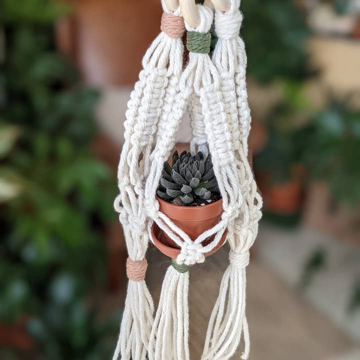 Leaf and Cord - Wholesale Hanging Planter - Mini Macrame Plant Hanger7
