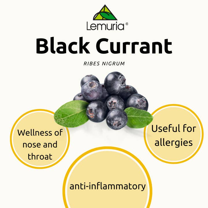 Lemuria – Großhandel Nahrungsergänzungsmittel/Vitamin zum Einnehmen – Total Extract Nahrungsergänzungsmittel gegen Allergien, SCHWARZE JOHANNISBEERE, 30 ml2