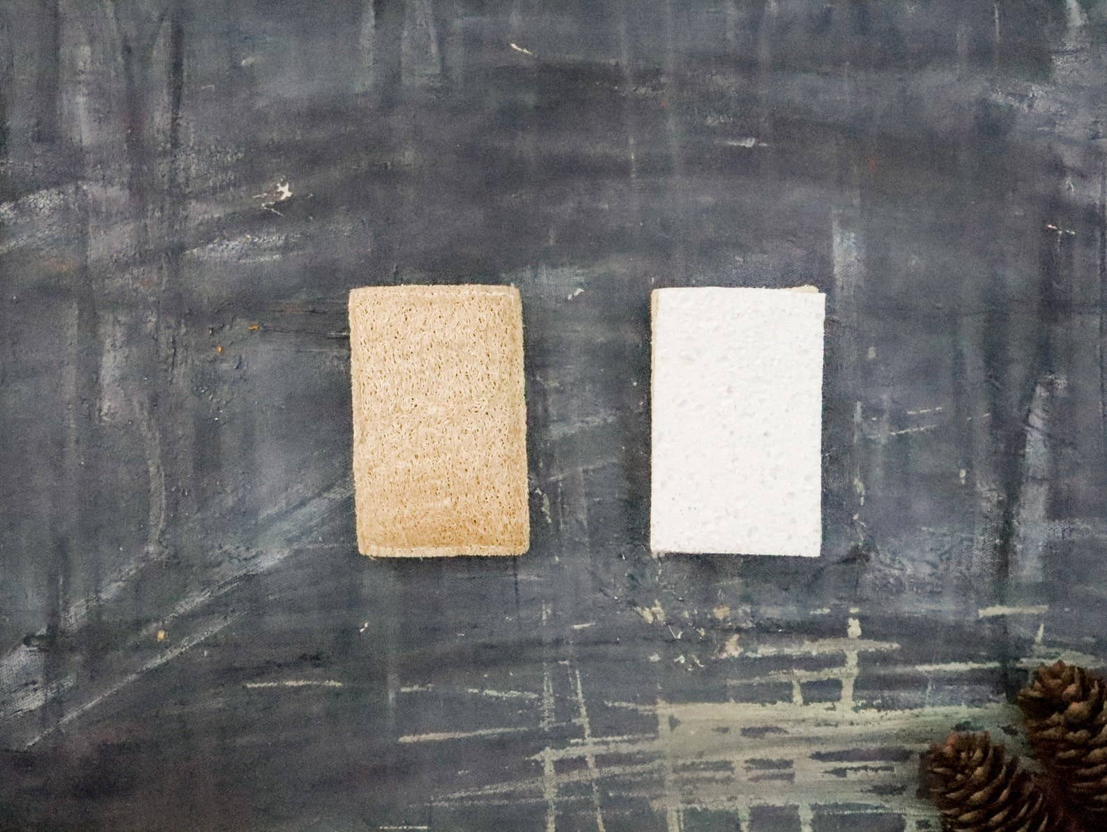 Plantish - Wholesale Cleaning Sponge - Eco Sponge1