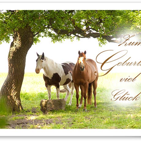 Geburtstag / Grußkarte / Tiere / Pferd / 519160 für den Großhandel von Yabué