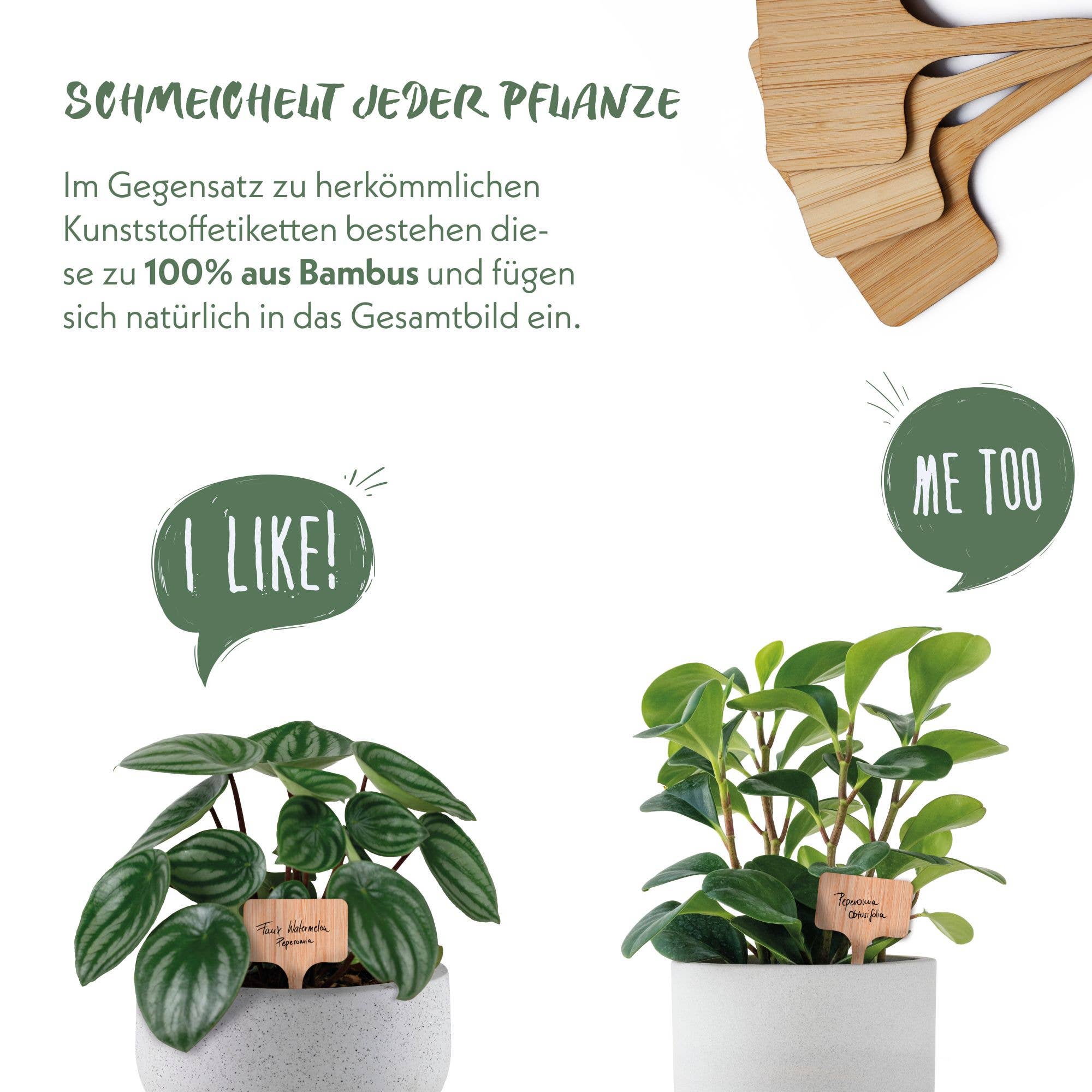 Vendix GmbH - Wholesale Garden Tool - 30x bamboo plant plugs for labelling with marker5