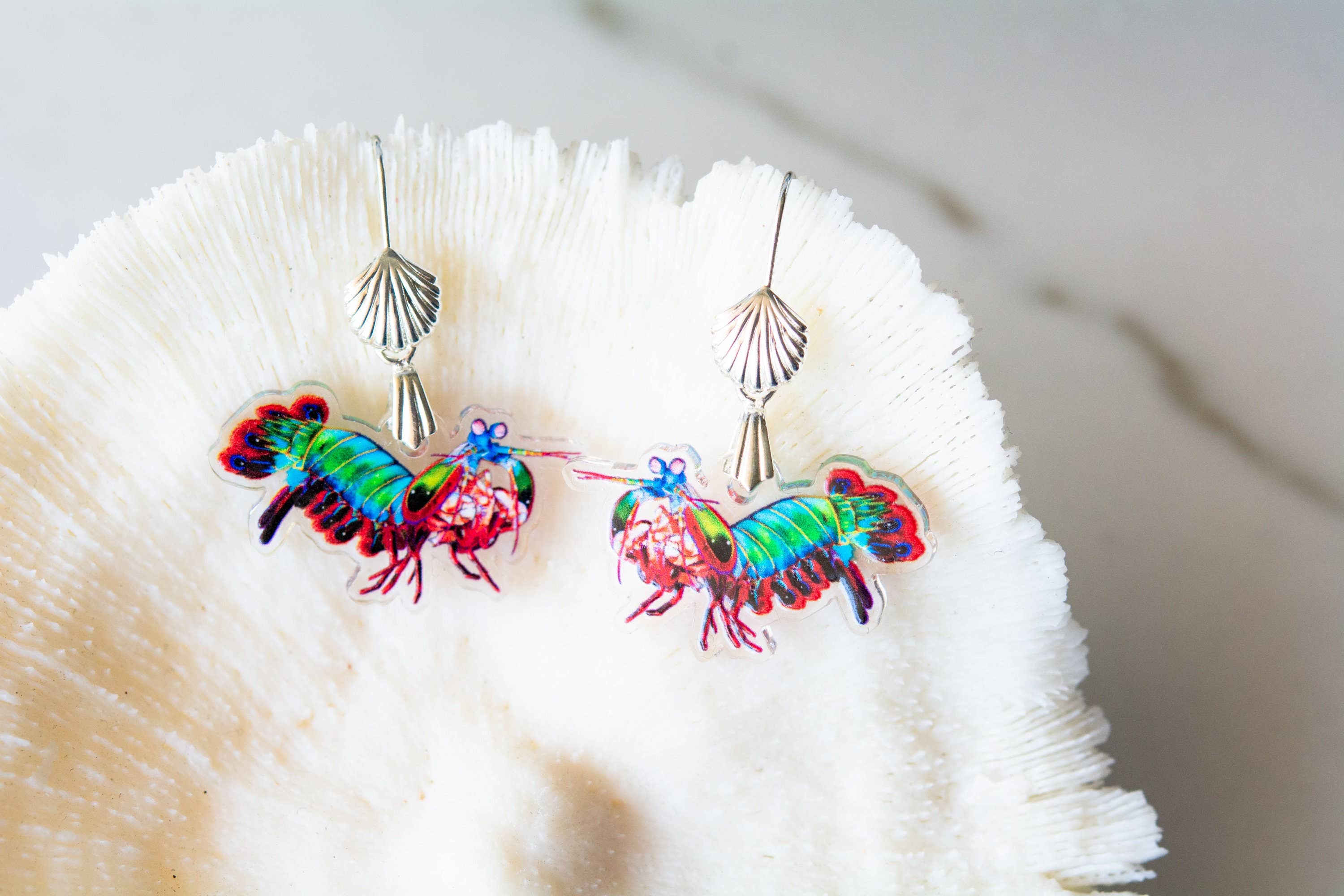 The Slug And Kraken - Wholesale Dangle Earrings - RECYCLED- Peacock mantis shrimp Statement Earrings, Necklace2