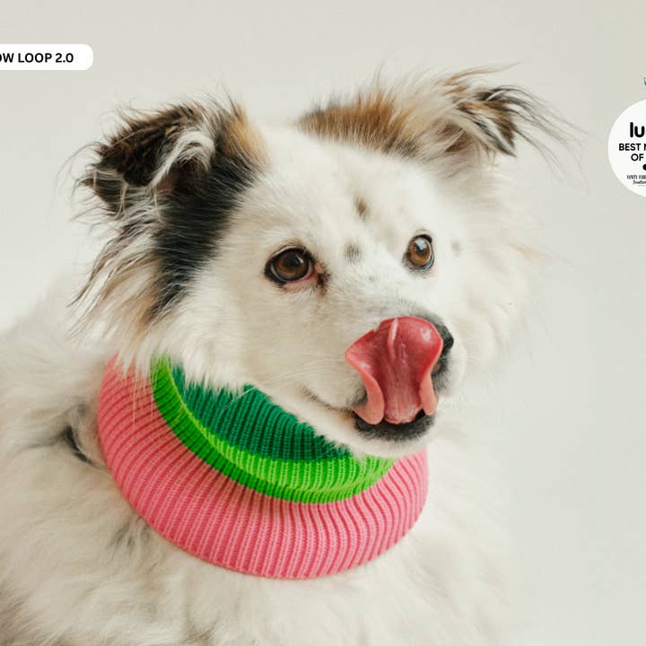 Wassermelonen Crush THE GLOW LOOP 2.0 (Watermelon Crush) for wholesale on Faire