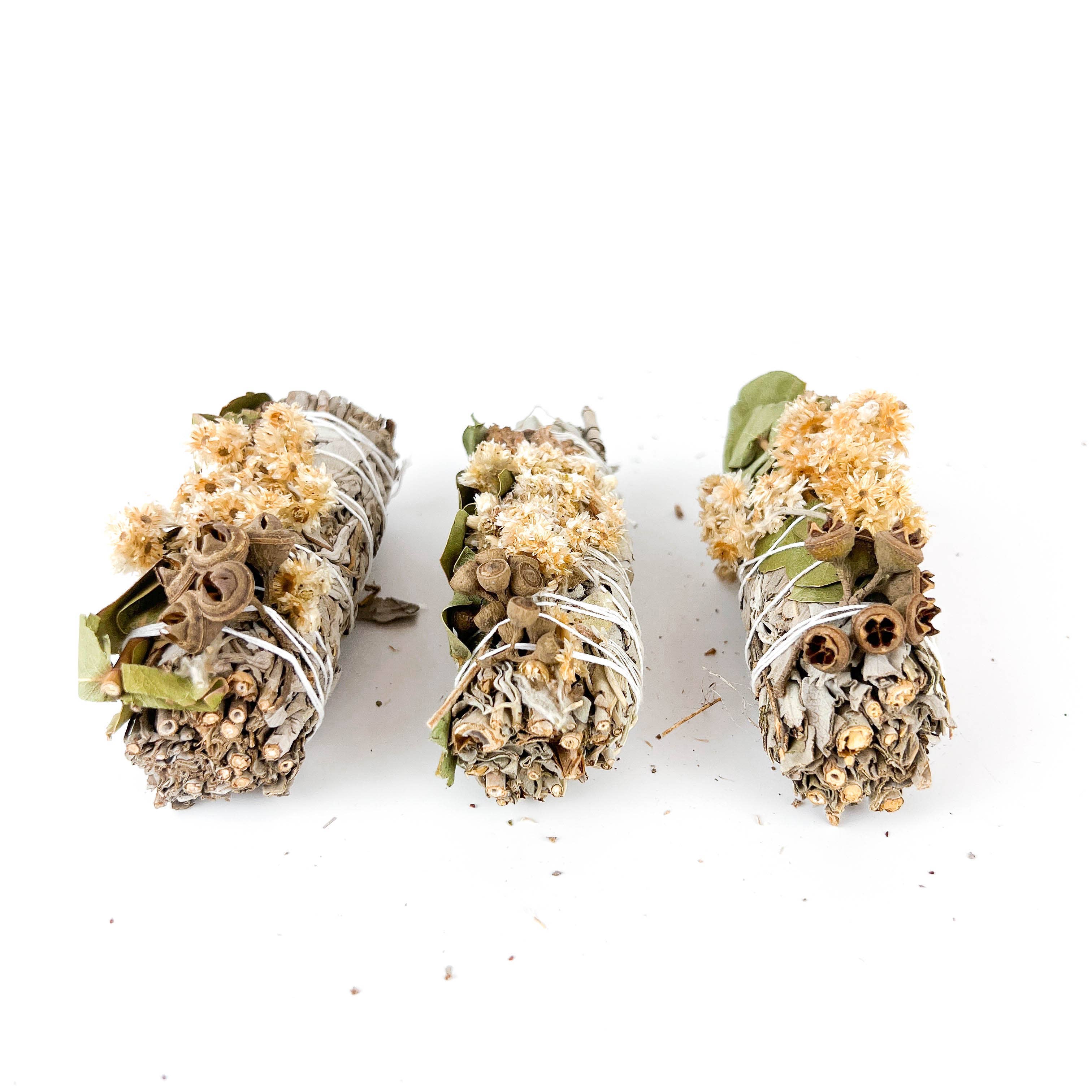 GREENROOTS USA LLC - Wholesale Sage Bundle - White Sage, Lavender & Eucalyptus Dollar Sage 4"17