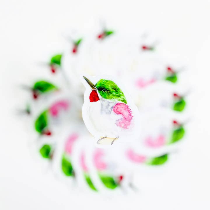 PREMIUM STICKER VOOR VOGELS voor wholesale door Kelly U Fine Art Studio