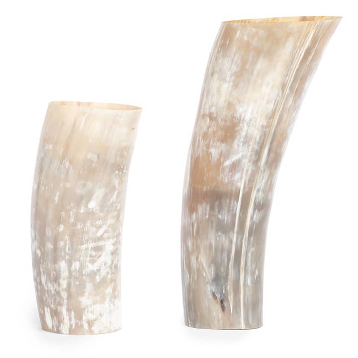 The African Home Goods - Wholesale Vase - ANKOLE COW HORN VASE OR PLANTER - LIGHT2