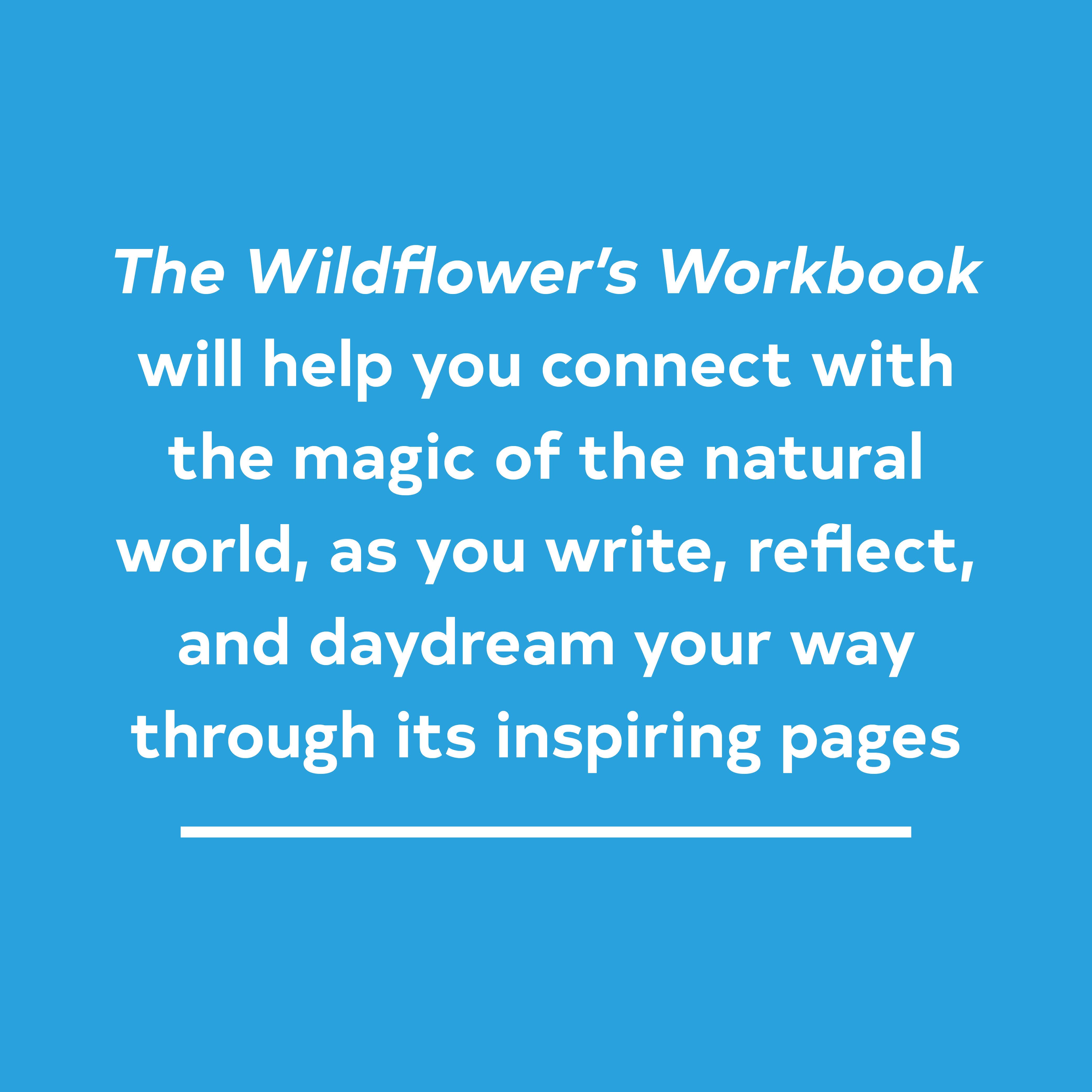 Chronicle Books - Wholesale Journal/Diary - The Wildflower's Workbook3