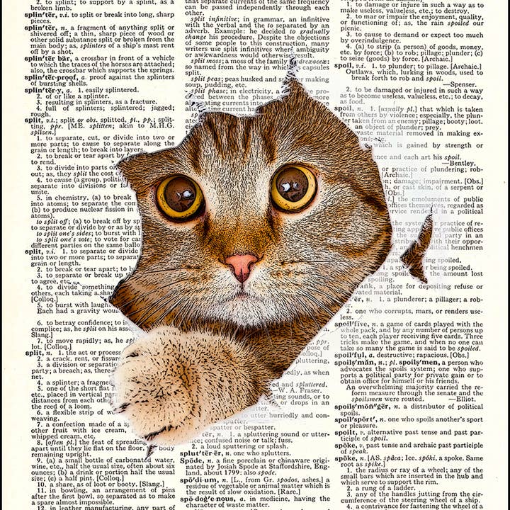 Cat Tearing Through Page Print for wholesale by Fresh Prints of CT