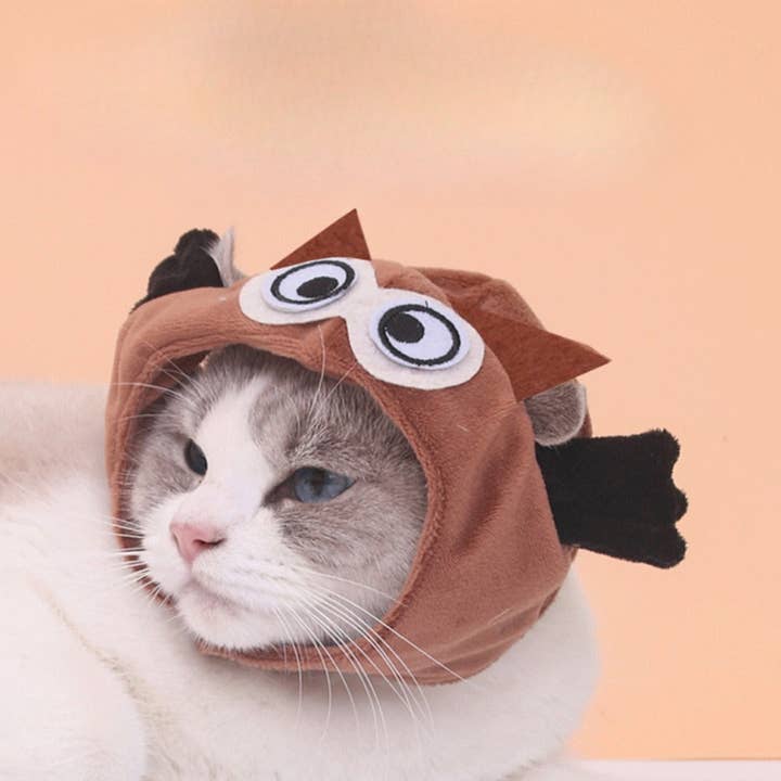Ozzie - Owl Pet Hat for wholesale by Cheerhunting
