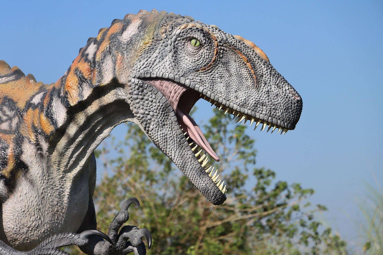 LM Treasures - Wholesale Figurine Toy - Kids - Australovenator Dinosaur Life Size Statue2