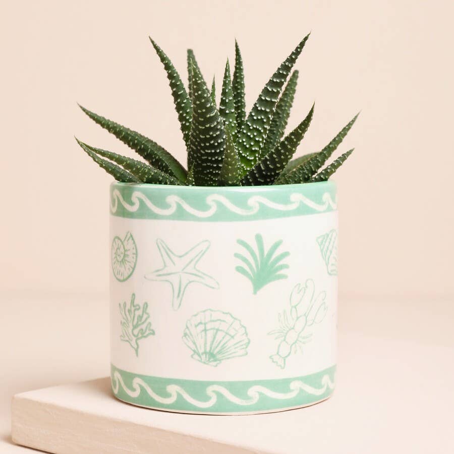 Lisa Angel – wholesale Plant pot – Green Seashells Ceramic Mini Planter0