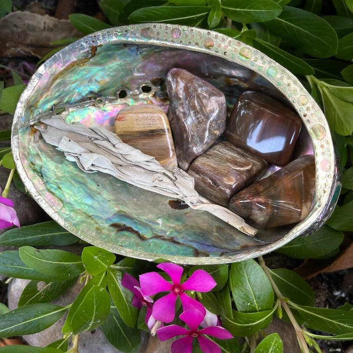 Bodhi Leaf Market - Wholesale Spiritual Stone/Crystal - Fossilized Wood, Polished Fossilized Wood, Crystal Magic
