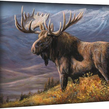 Cooper Moose - 13" x 18" Gallery Wrapped Canvas for wholesale by Art Brand Studios