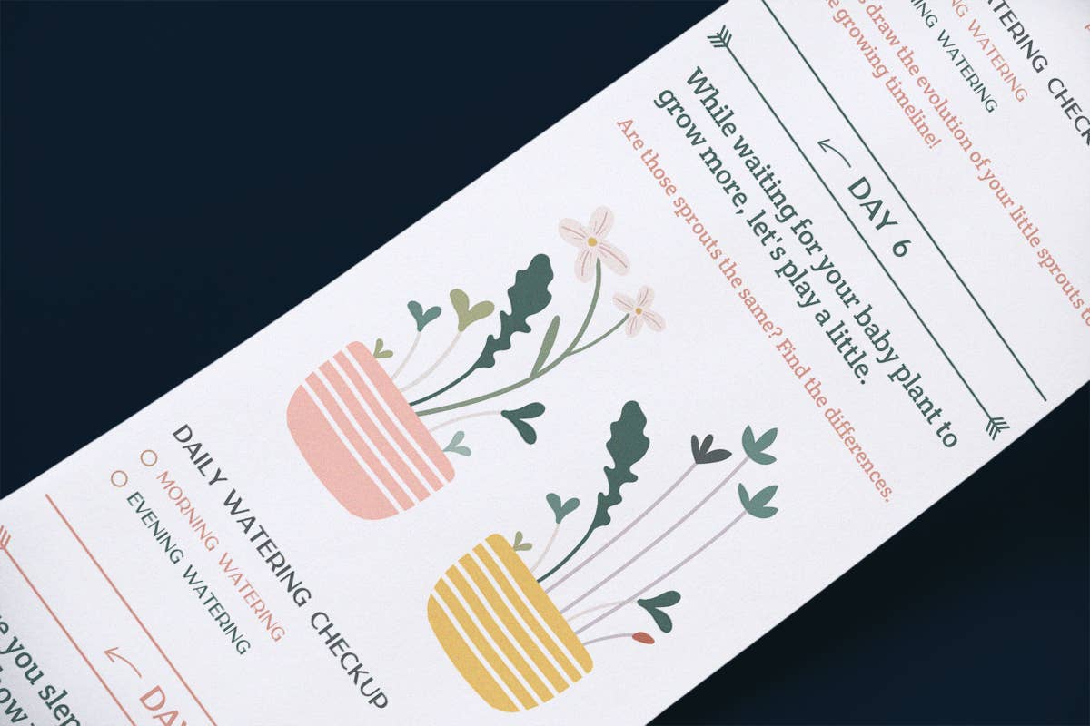 Scrollino - Wholesale DIY Craft Kit - Kids - Original Activity & Growing Kit - Scrollino Arugula Sprouts3