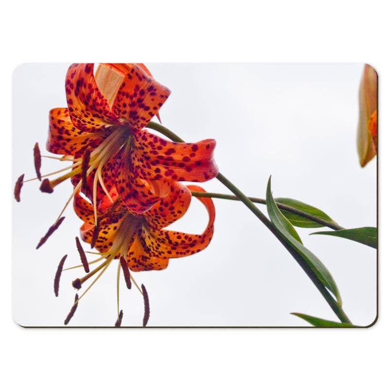 Gregory Dennis Design - Wholesale Placemat - 6 Floral Placemats  - Lilium5