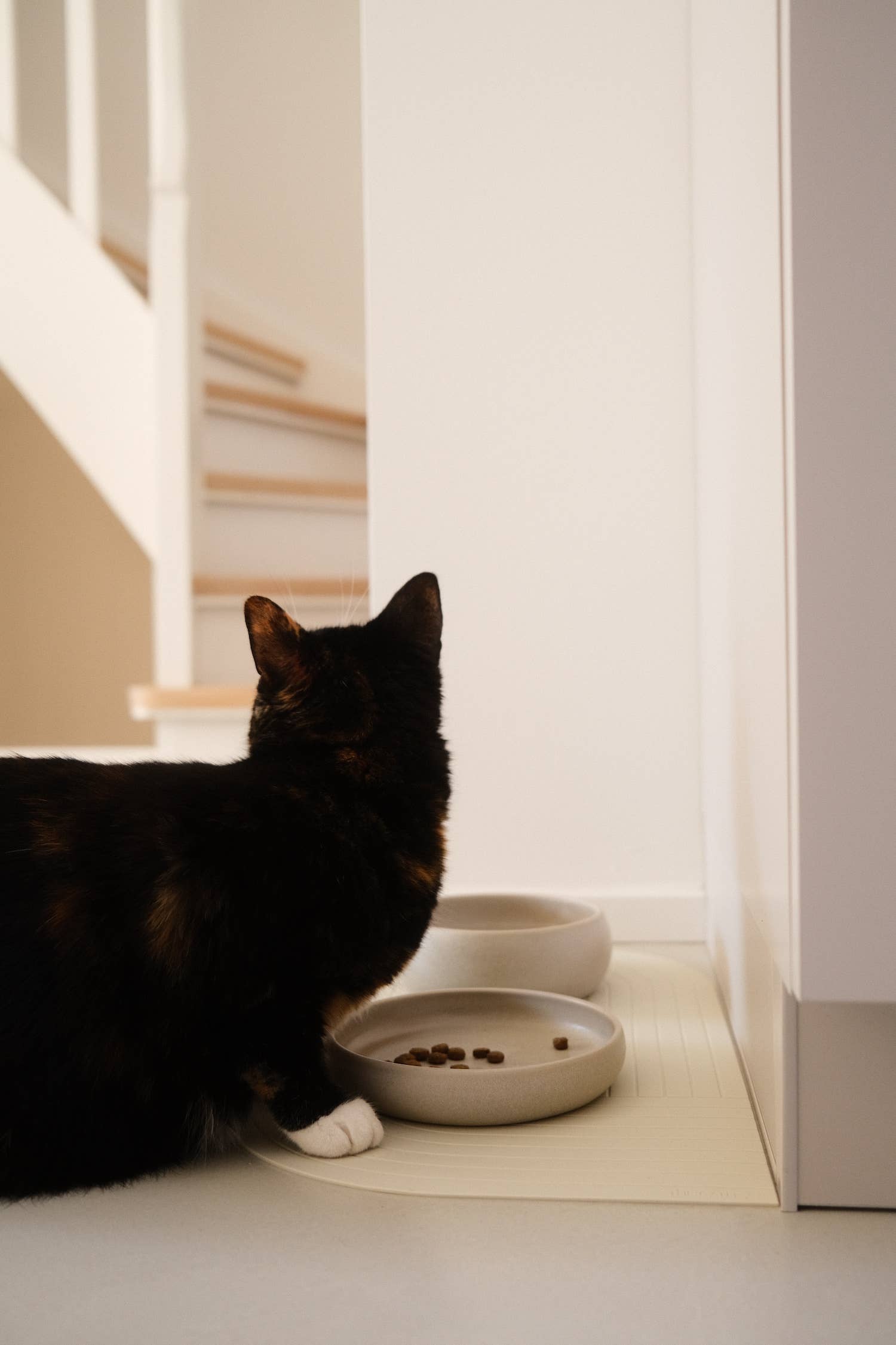 The Catery – Großhandel Futternapf – Katze/Hund – Gourmet Futternapf Creme8