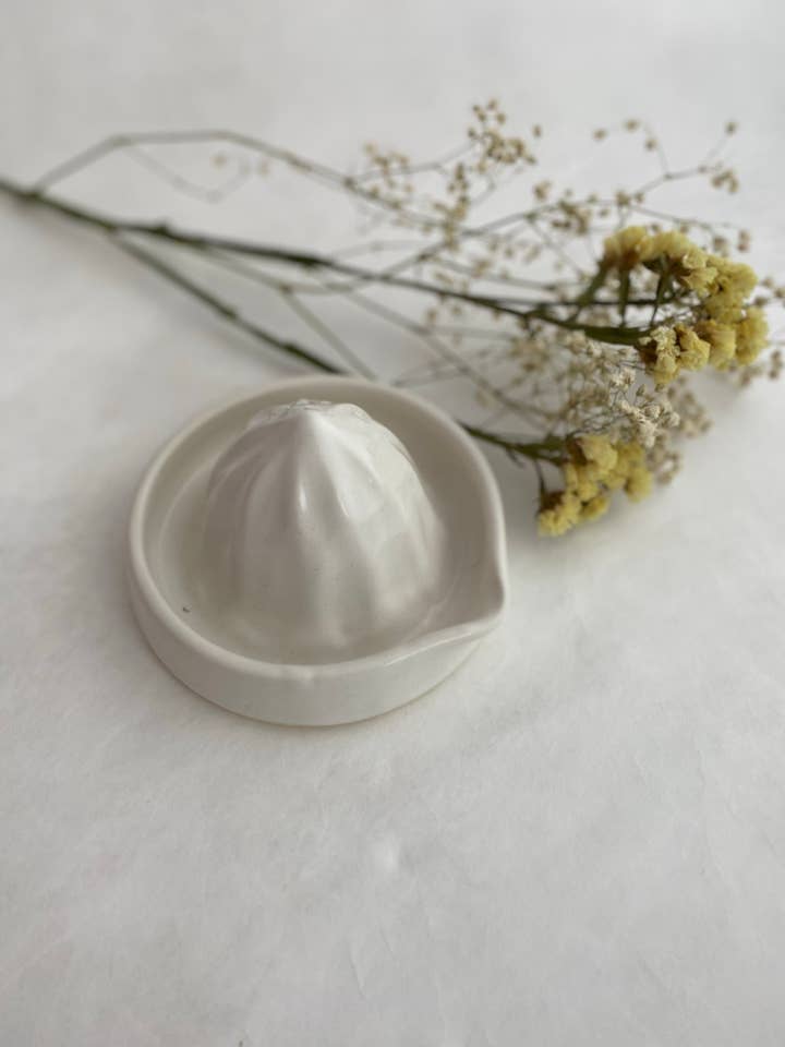 Citrus squeezer for wholesale by MR Poterie