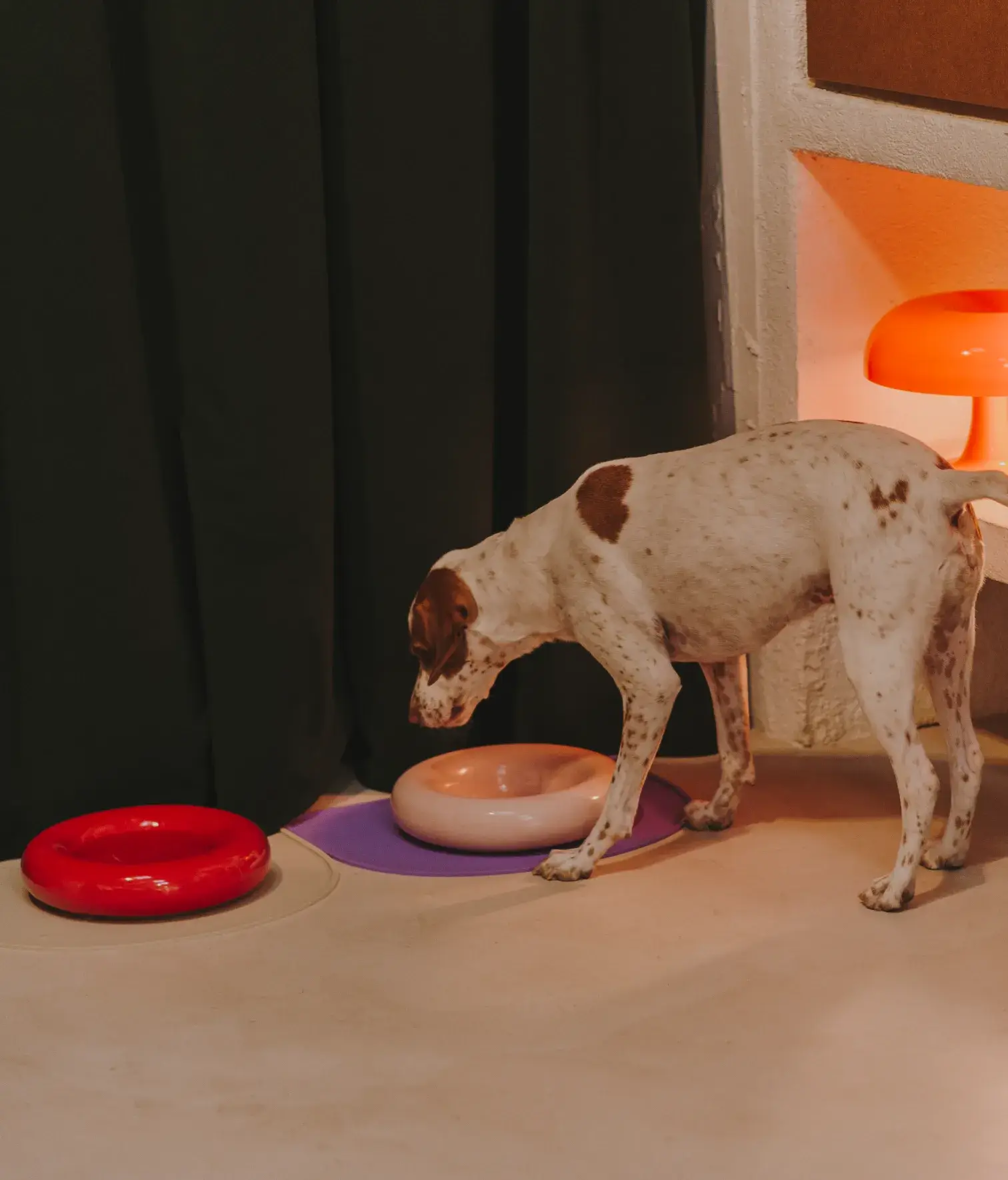 HotDog Pets - Wholesale Pet Bowl - Cat/Dog - Pink ceramic dog feeder11