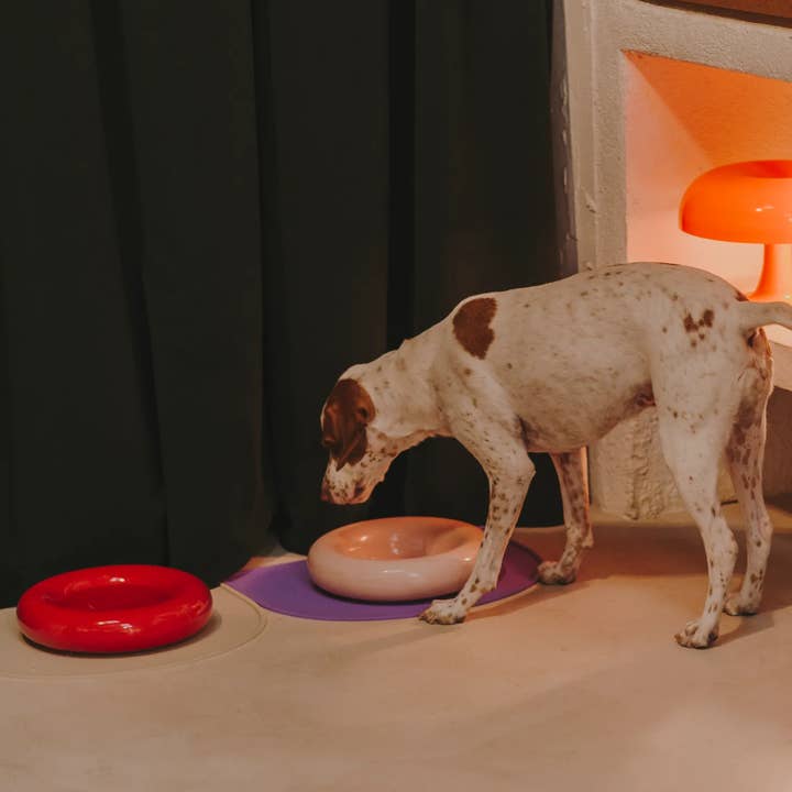 HotDog Pets - Wholesale Pet Bowl - Cat/Dog - Pink ceramic dog feeder11