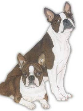 Imán Boston Terrier de madera para venta al por mayor de Pipsqueak Productions