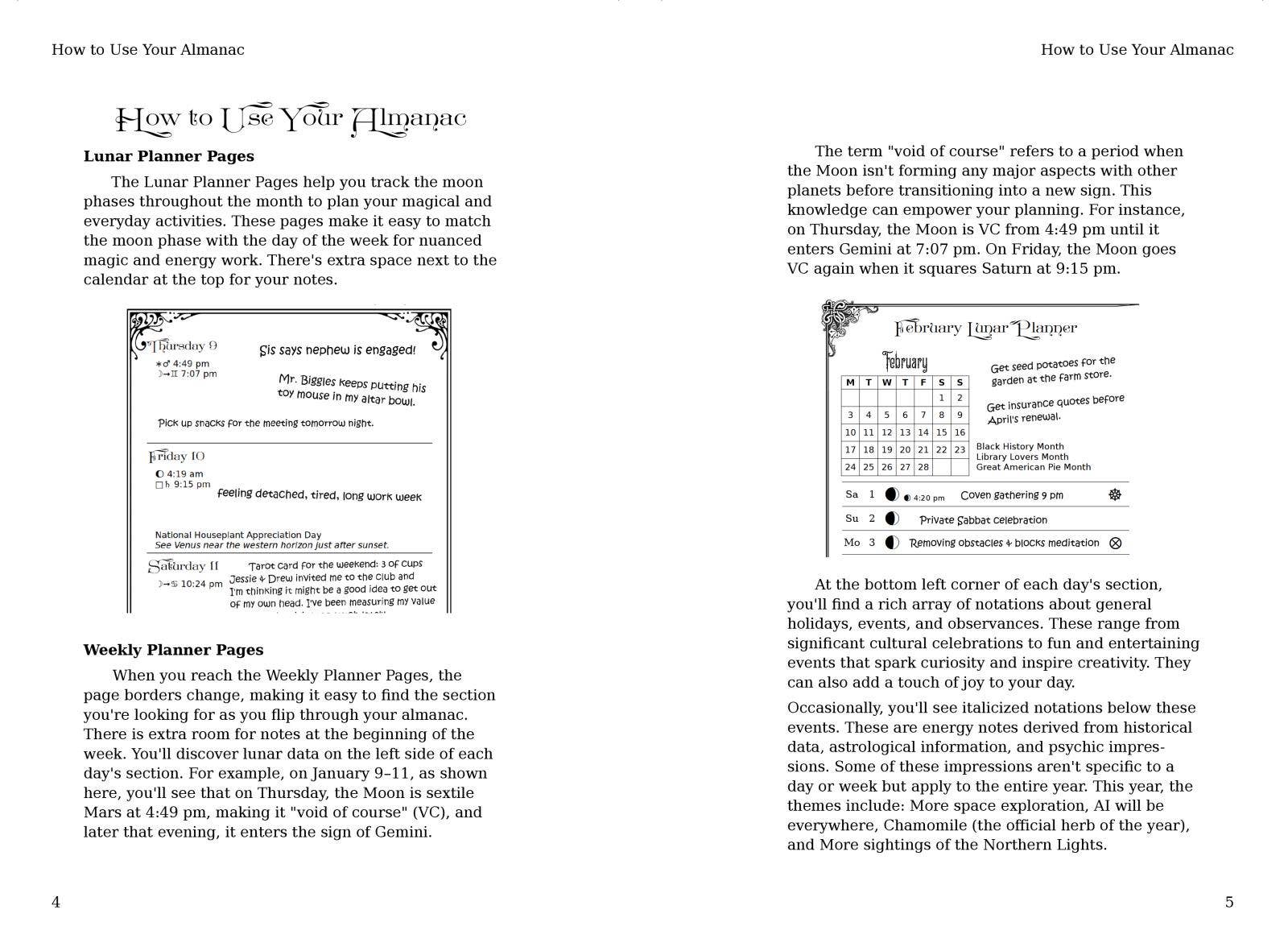 Microcosm Publishing & Distribution - Wholesale Body, Mind & Spirit Book - Practical Witch's Almanac 2025: Rebel Wisdom3
