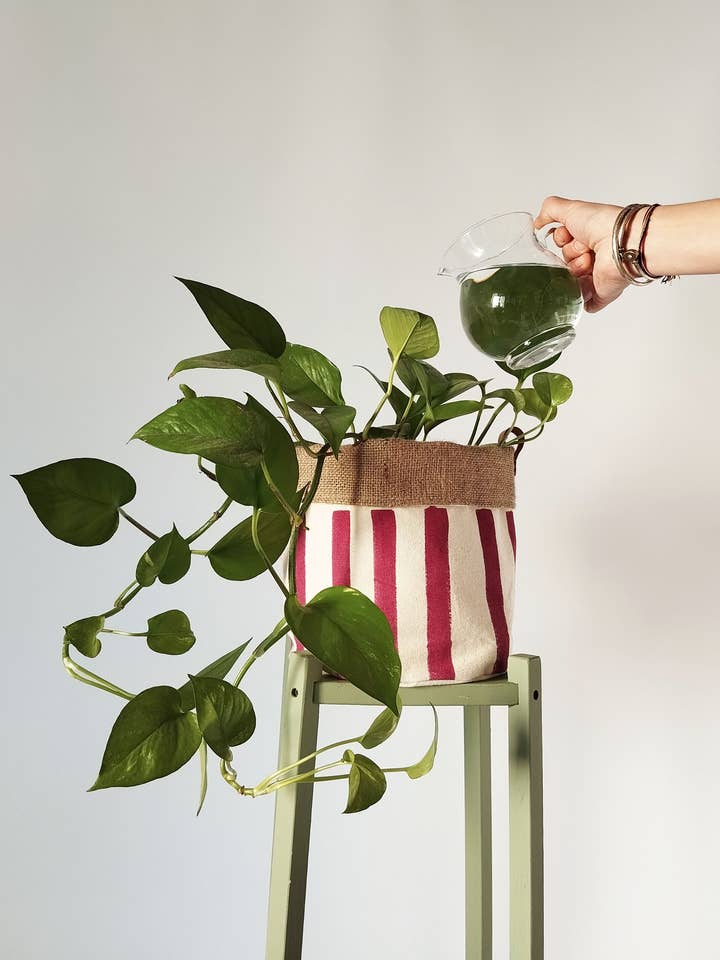 Medium Indoor Planter with Stripes for wholesale by The Ink Job