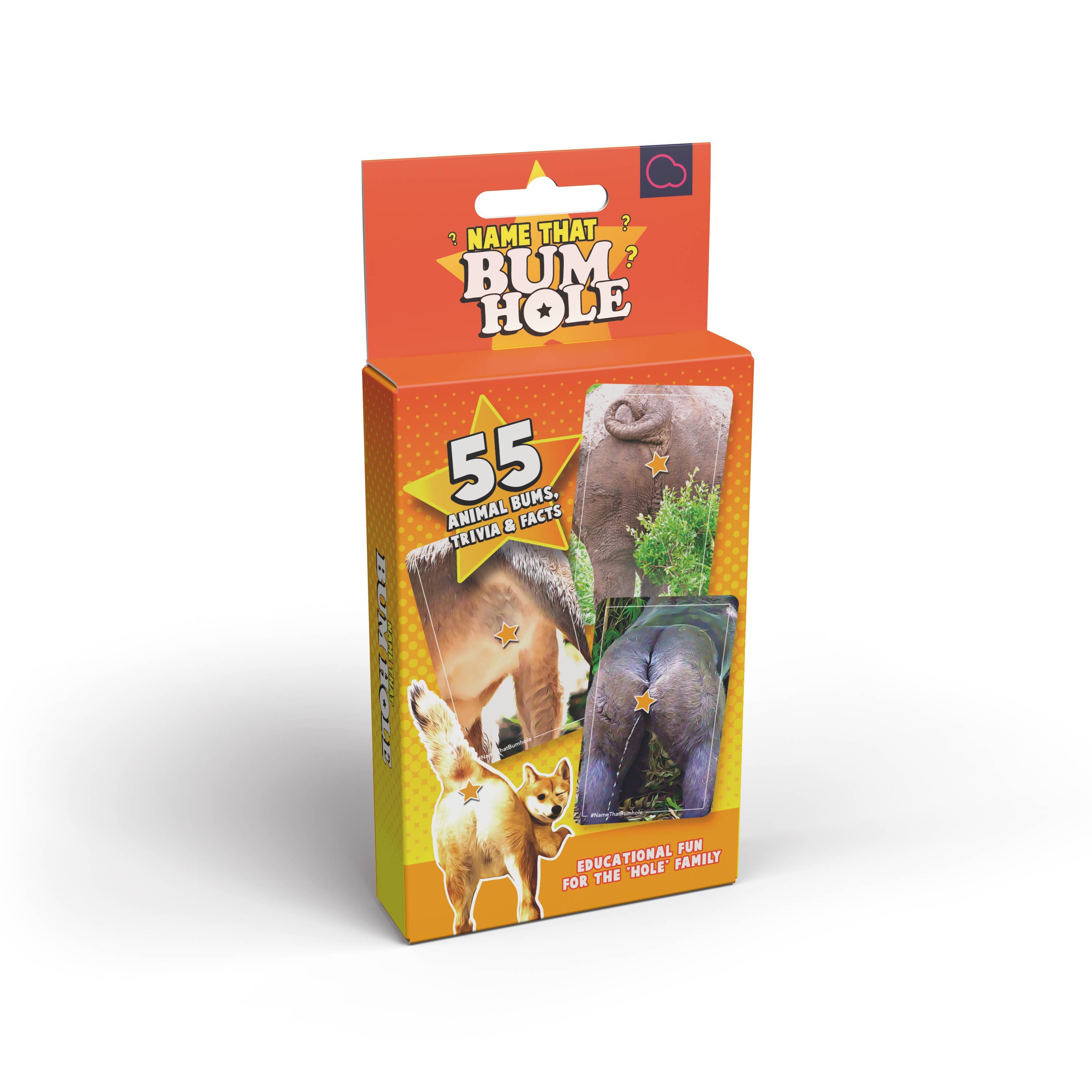 Bubblegum Stuff UK – Großhandel Kartenspiele – Name That Bumhole | Lustiges Familien-Flashcard-Trivia-Spiel6