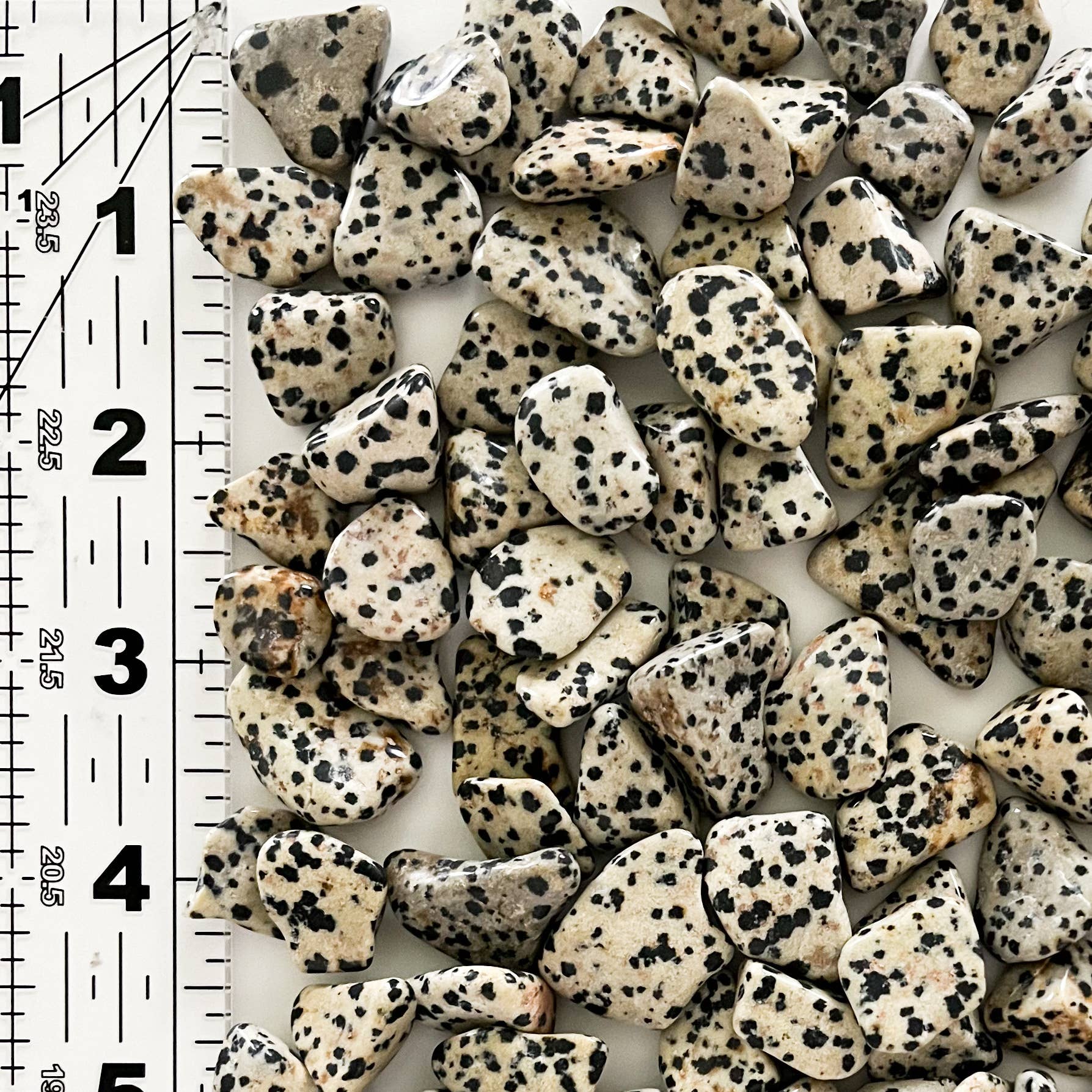 The Bohemian Box Shop - Wholesale Spiritual Stone/Crystal - Pocket Dalmatian Jasper Tumbled Crystal w/ Information Card1