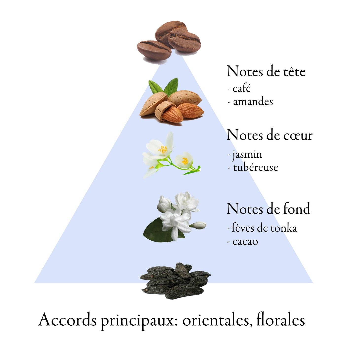 FAMILLE GRASSE PARFUMS - Vente Parfum/Eau de toilette - AMATIVE AND TENDER eau de parfum pour femme 75 ml3