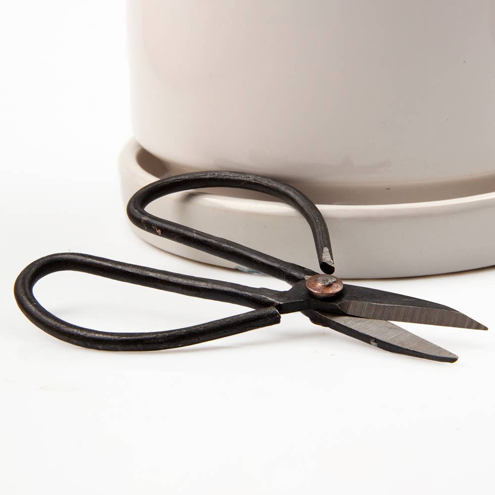 Chive - Wholesale Garden Tool - Edward Plant Scissors/ Gardening 
Plant Accessories6