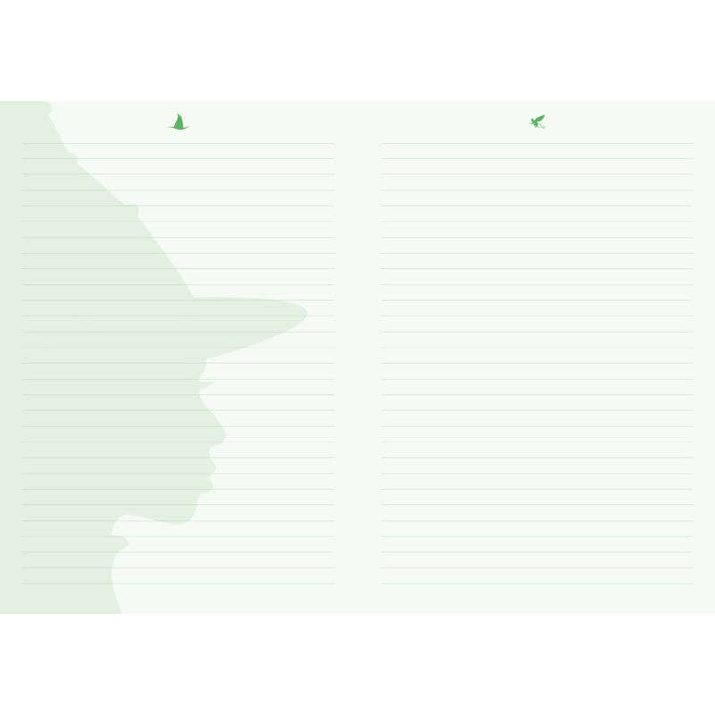 Insight Editions - #1 Pop Culture Publisher - Wholesale Journal/Diary - Wicked: Elphaba / Glinda Reversible Sculpted Journal9