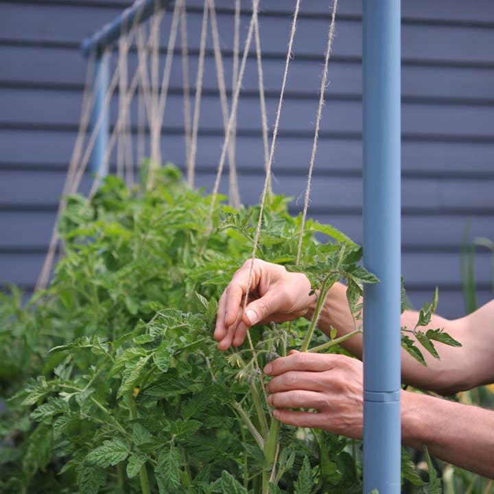 Seattle Urban Farm Company - Vendita all'ingrosso Pergole - Traliccio Freyr