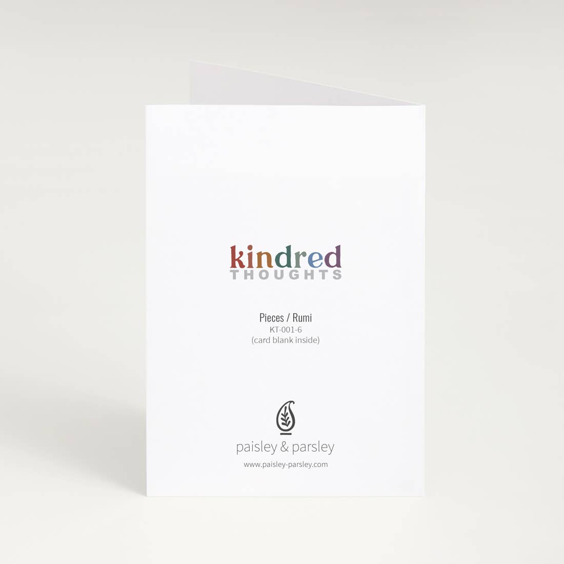 Paisley & Parsley - Wholesale Everyday Greeting Card - Never Too Late / Eliot - Greeting Card2