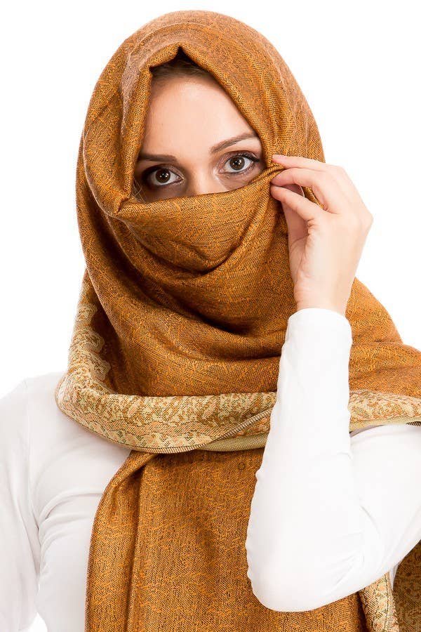 Cap Zone - Wholesale Scarf - Women's - Luxury Delicate Paisley Versatile Wrap Faux Pashmina2